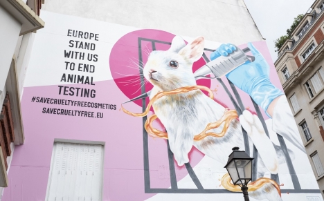 Wandbild zur Europischen Brgerinitiative Save Cruelty Free Cosmetics der Knstlerin Nina Valkhoff in Paris,  Kristy Sparow at Getty Images
